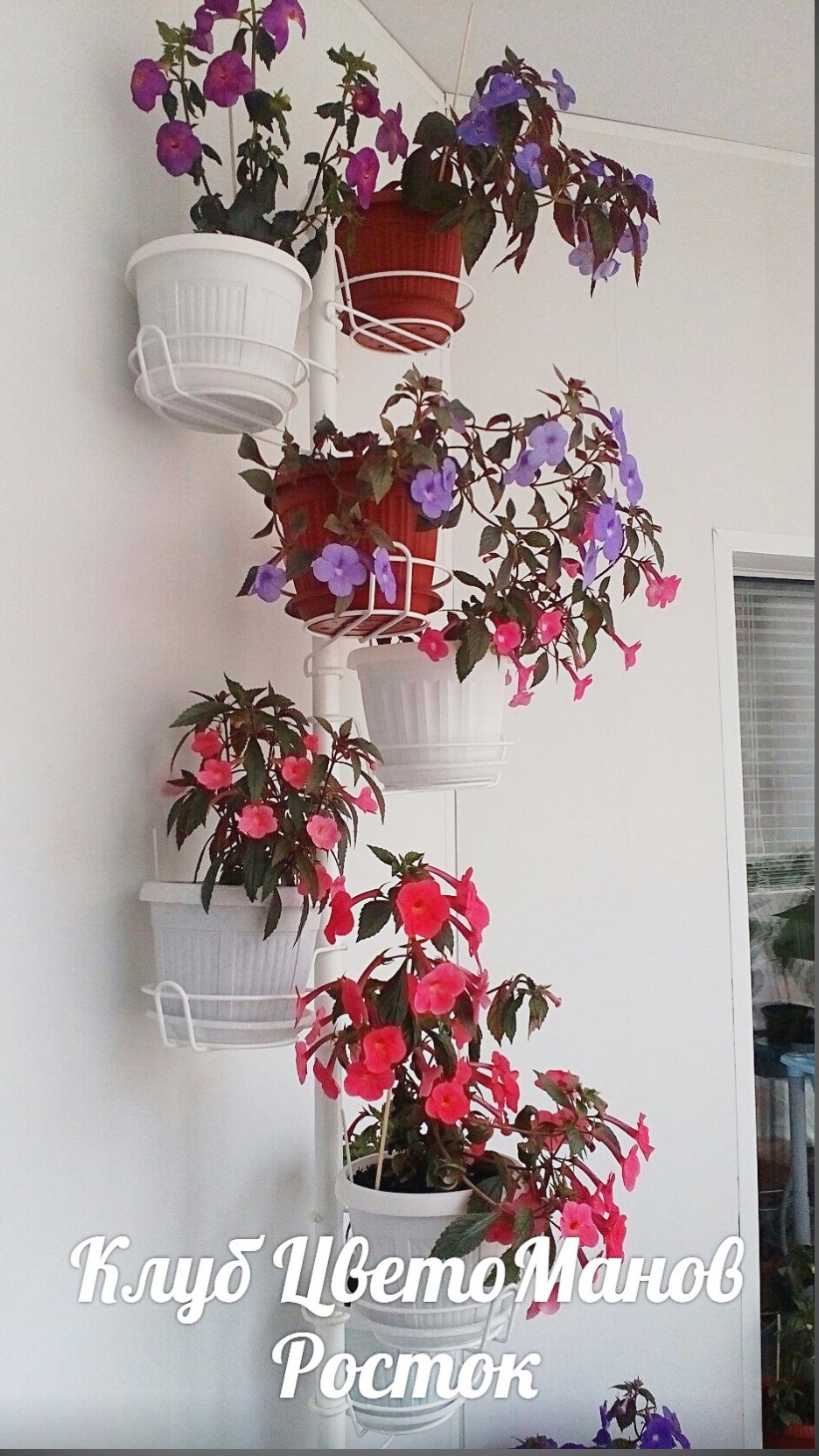 подставка металлическая для цветов на стену. Фото N30
